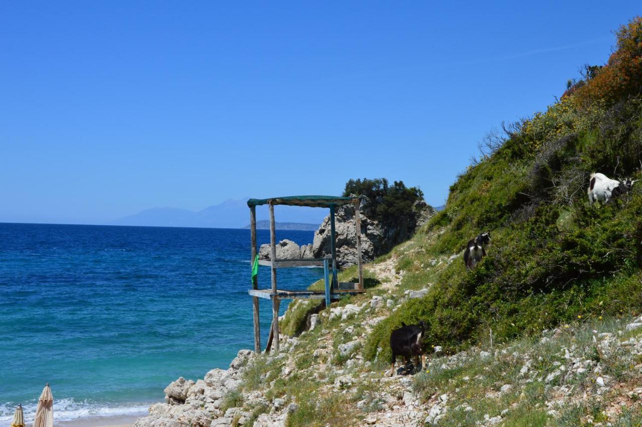 Zervo Sarandë