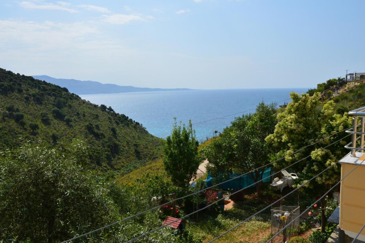 Zervo Sarandë